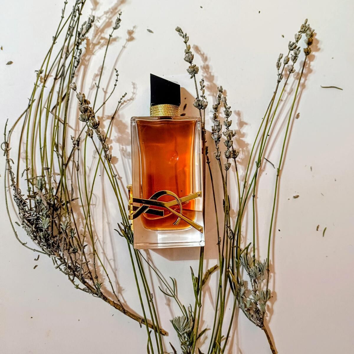 Libre Intense by Yves Saint Laurent – Women’s Perfume