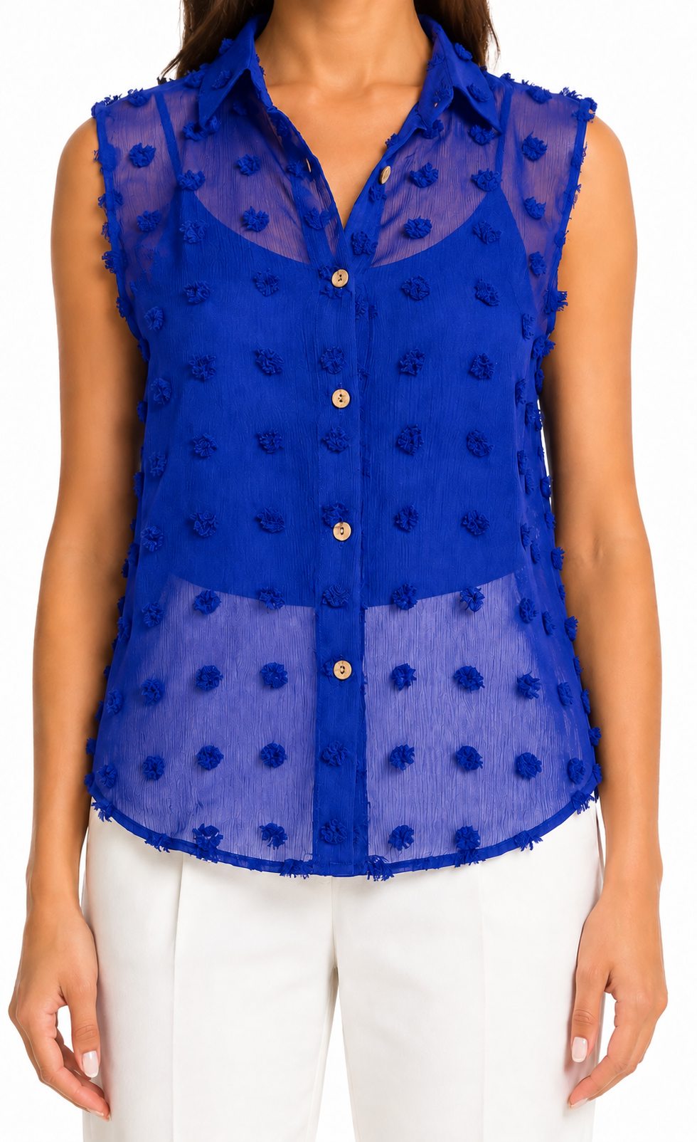 Elegant Solid Chiffon Blouse