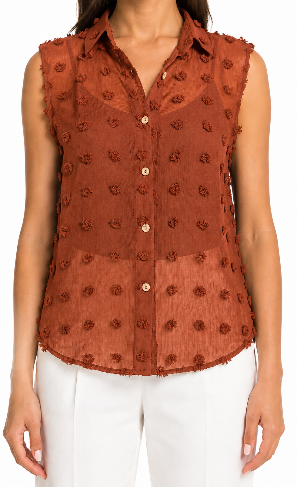 Elegant Solid Chiffon Blouse