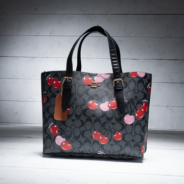 Coach Mollie Tote Bag