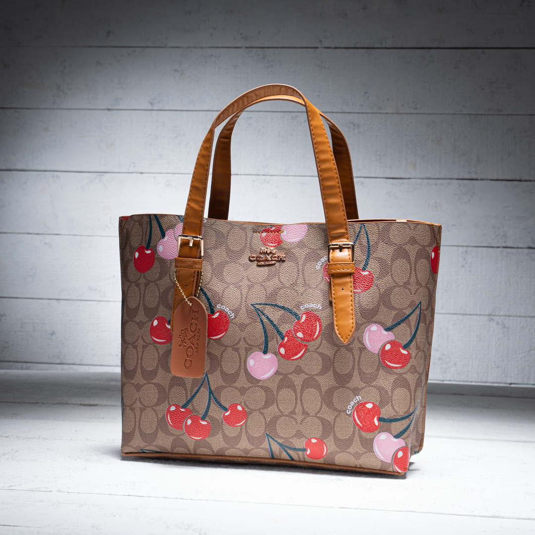 Coach Mollie Tote Bag