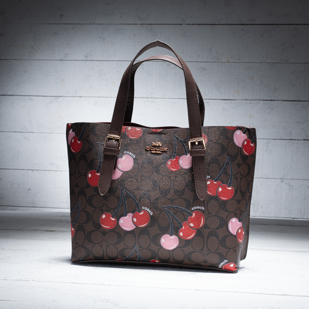 Coach Mollie Tote Bag