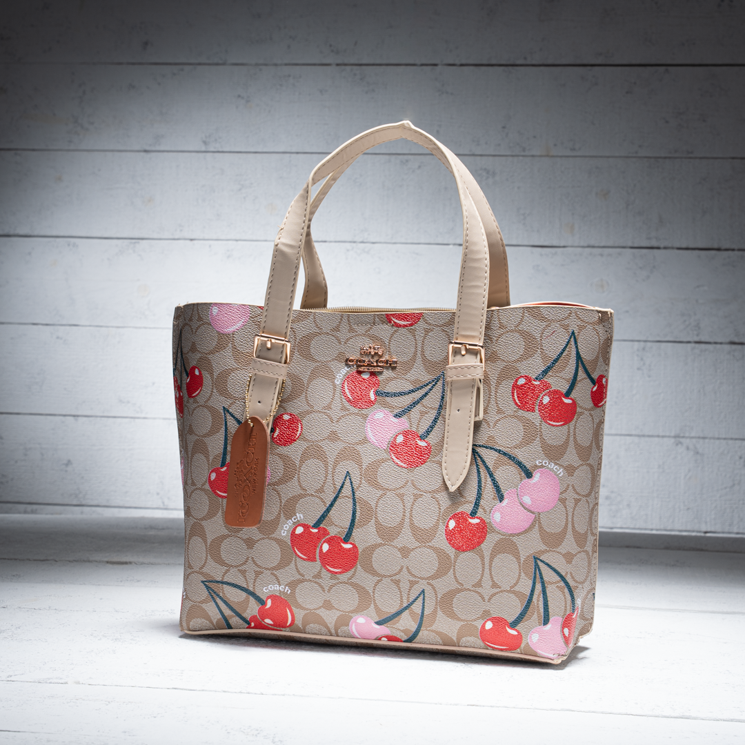 Coach Mollie Tote Bag