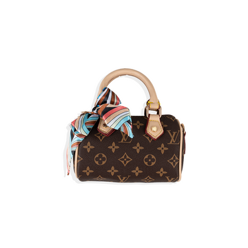 LV Bag